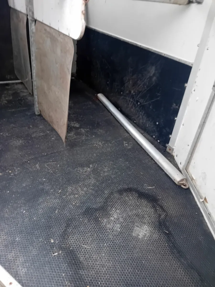 Nugent spirit horse box - Image 3