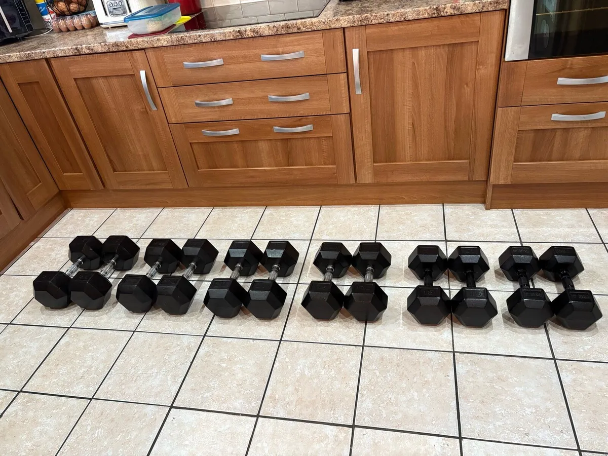 RUBBER HEX DUMBBELL COLLECTION - CHEAP!!! - Image 1