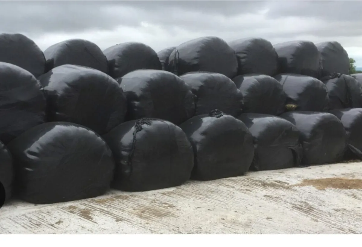 Bale silage for sale