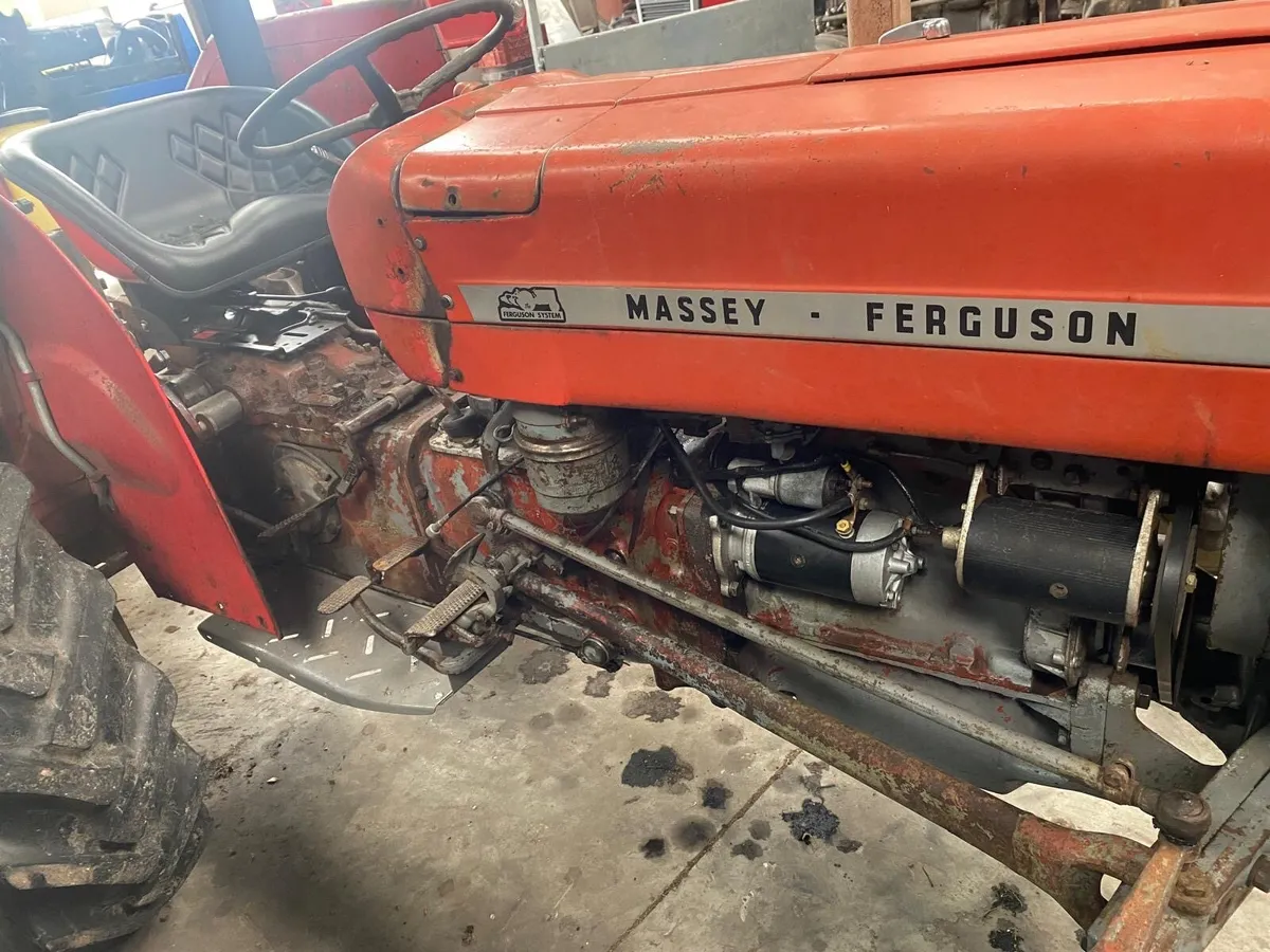 Massey 135 - Image 3