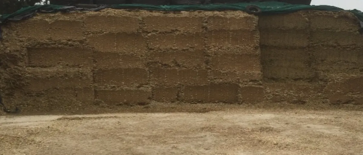 Pit silage