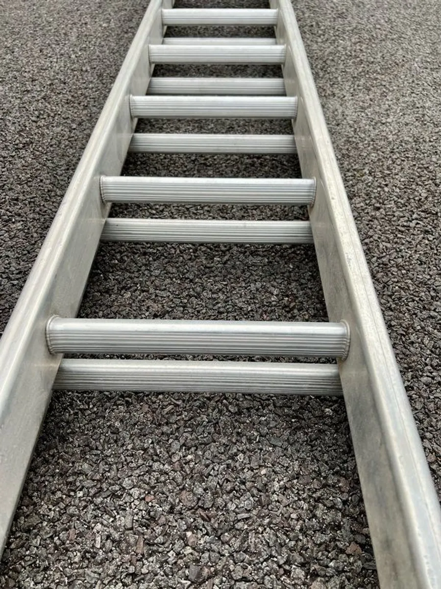 Extension ladder - Image 2