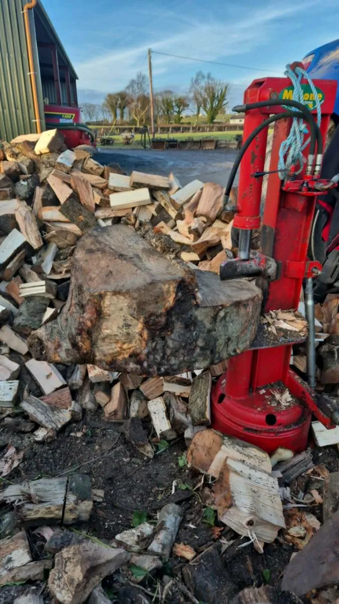 Top Quality Hardwood Firewood - Image 3