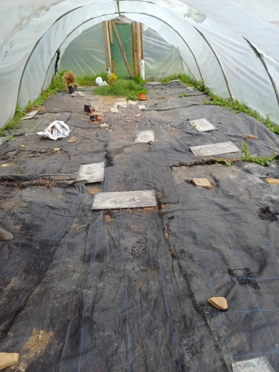 polytunnel tunnel - Image 2