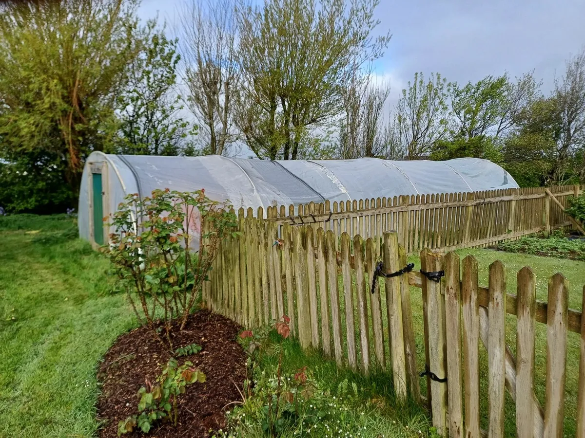 polytunnel tunnel - Image 3