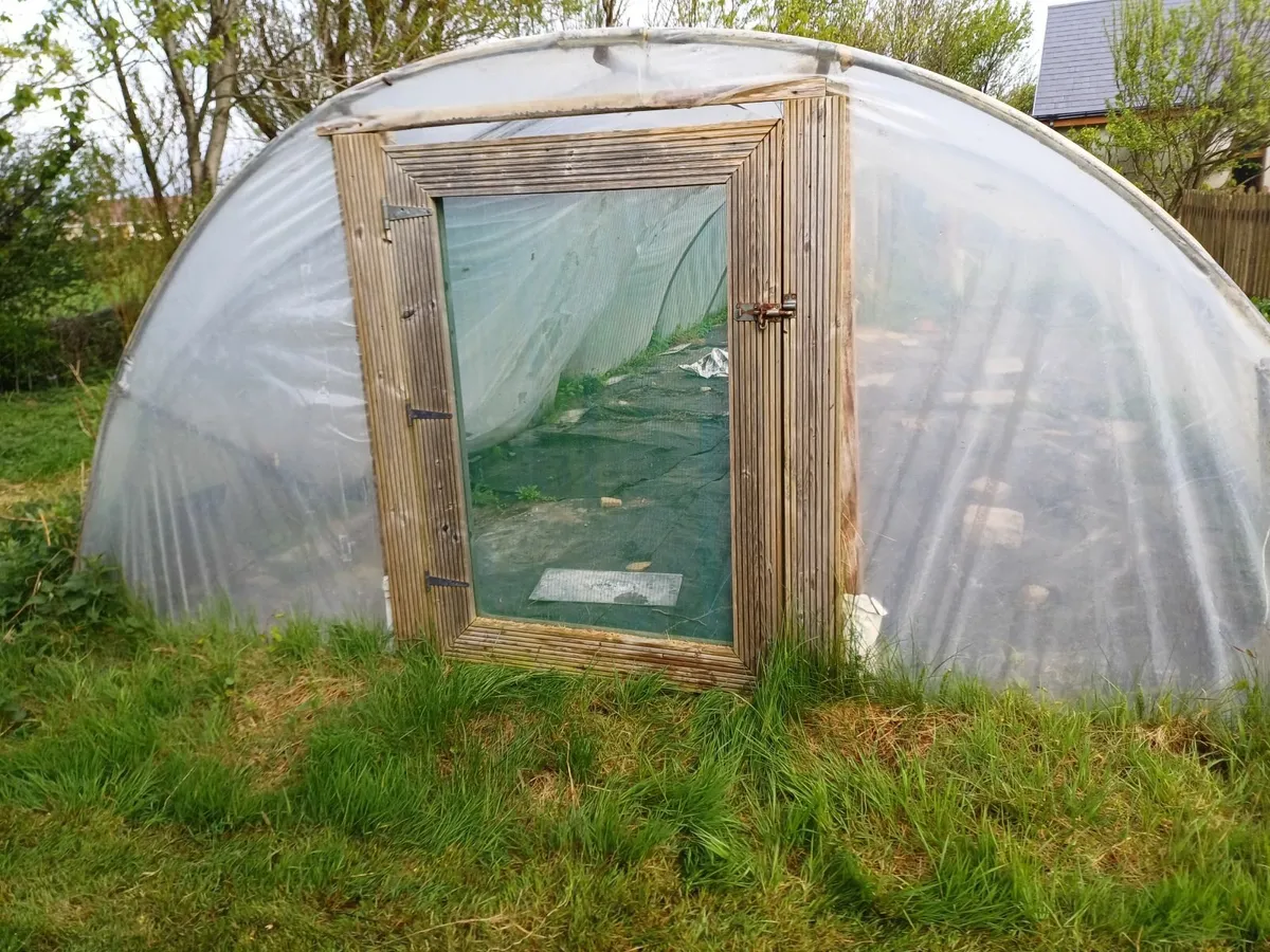 polytunnel tunnel - Image 4