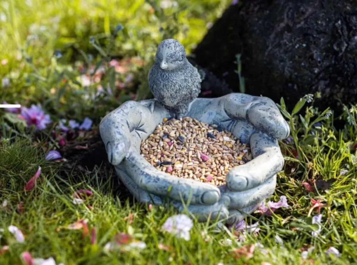 Hands Bird Feeder Bird on Hands Feeder - Image 1