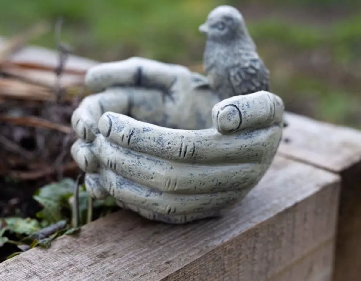 Hands Bird Feeder Bird on Hands Feeder - Image 2