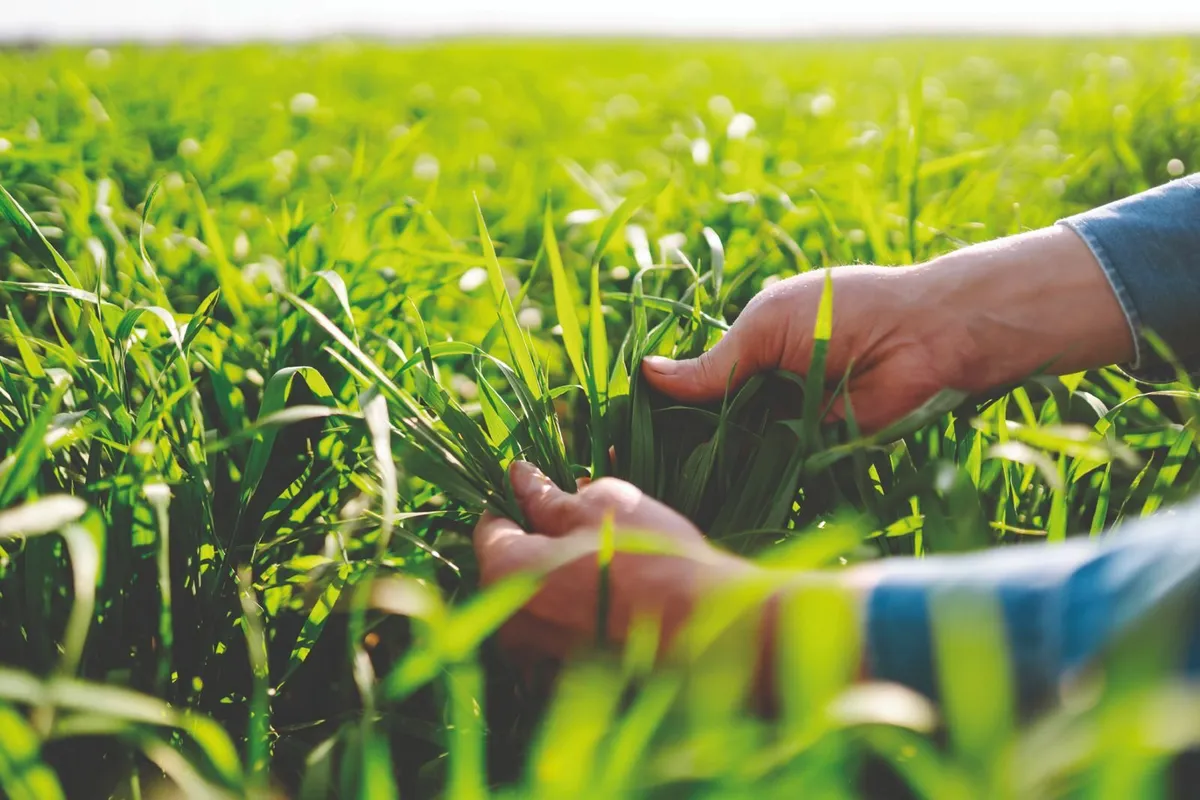 Energro Organic fertiliser PAS110 certified - Image 1