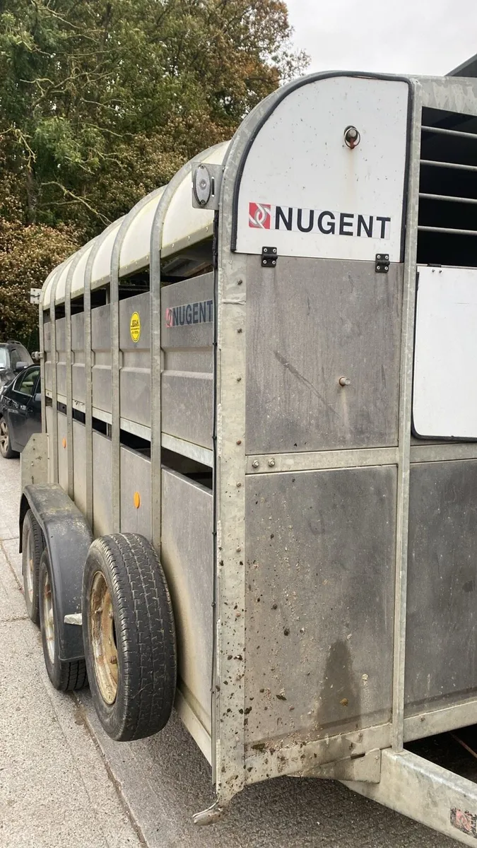 12ft Nugent Cattle Trailer for Sale - Image 3