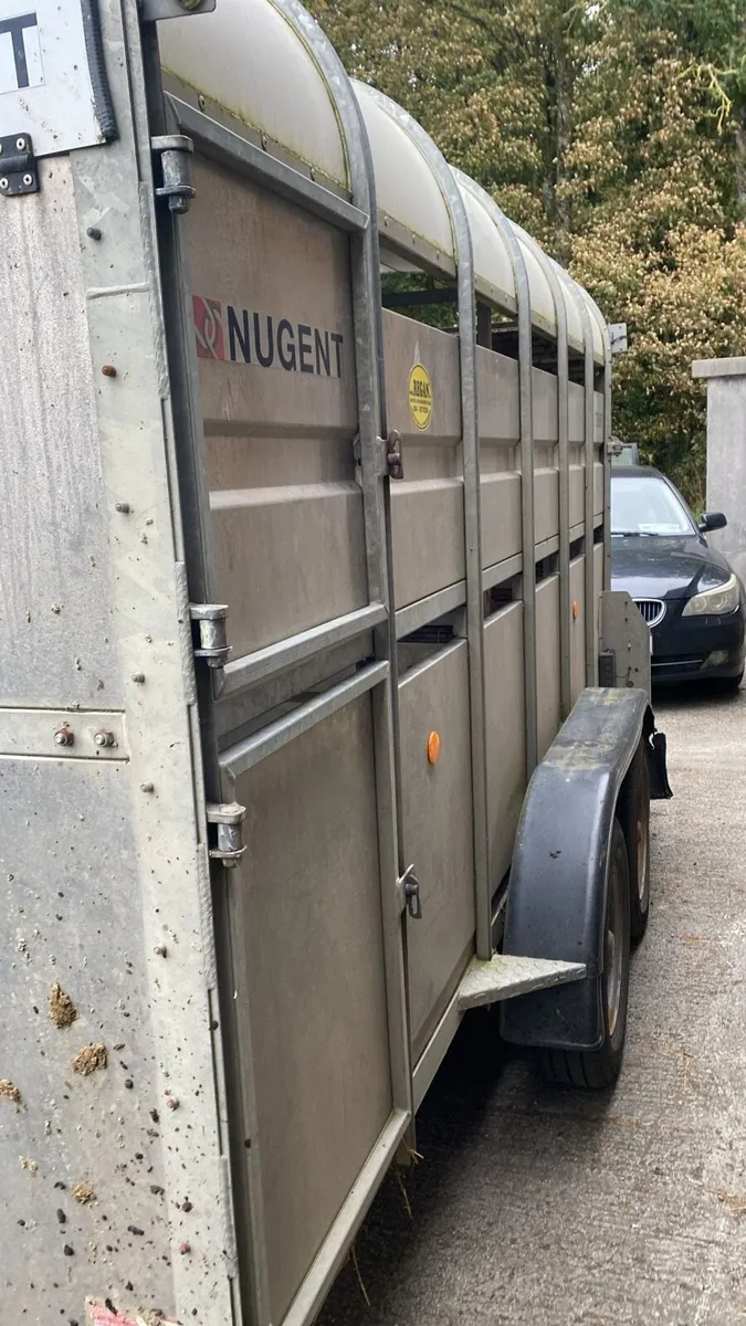12ft Nugent Cattle Trailer for Sale - Image 4