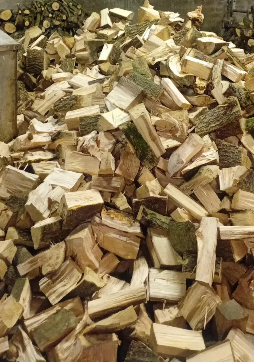Bags of logs for Sale - Image 1