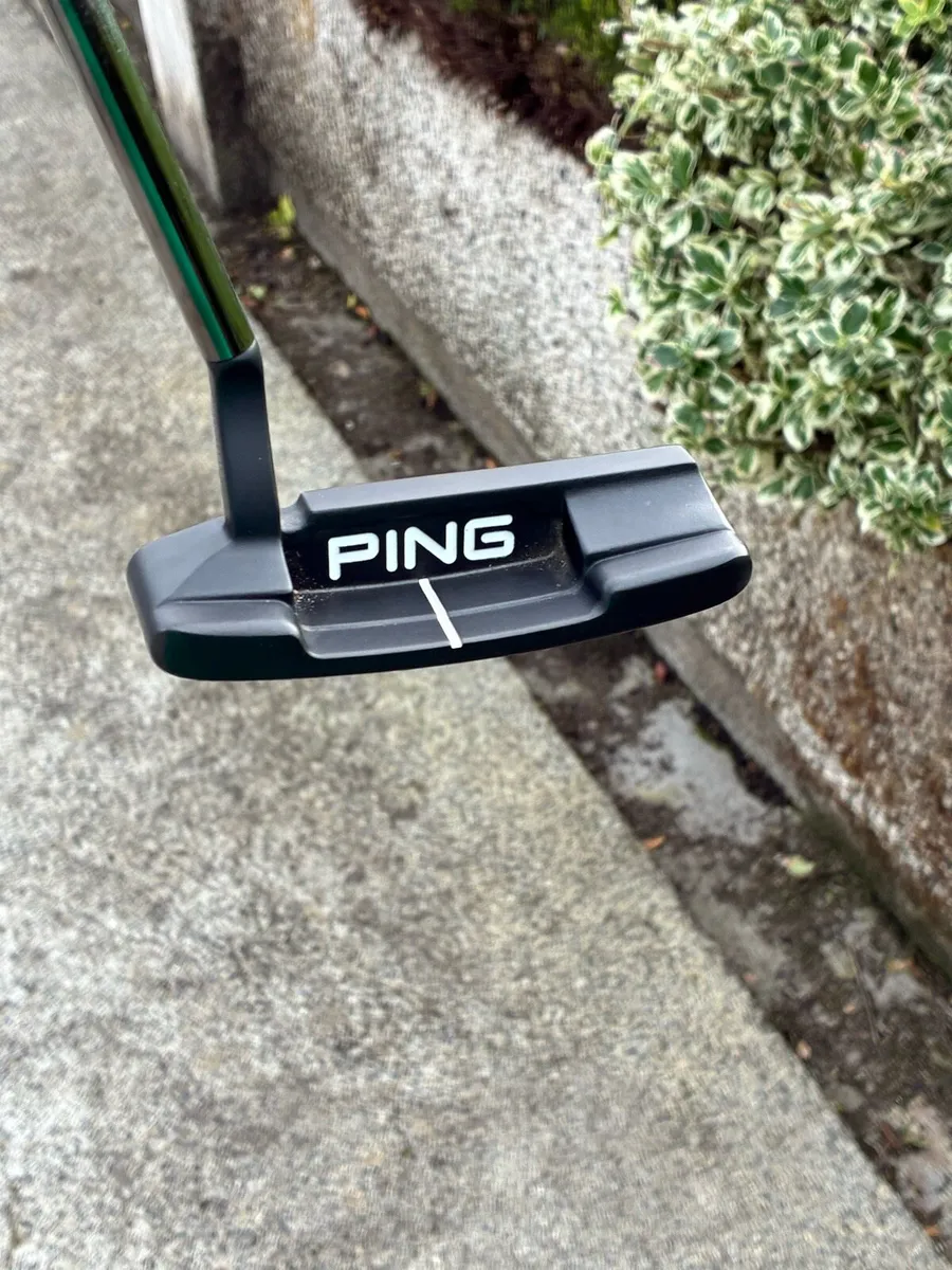 Ping anser 4 - Image 1