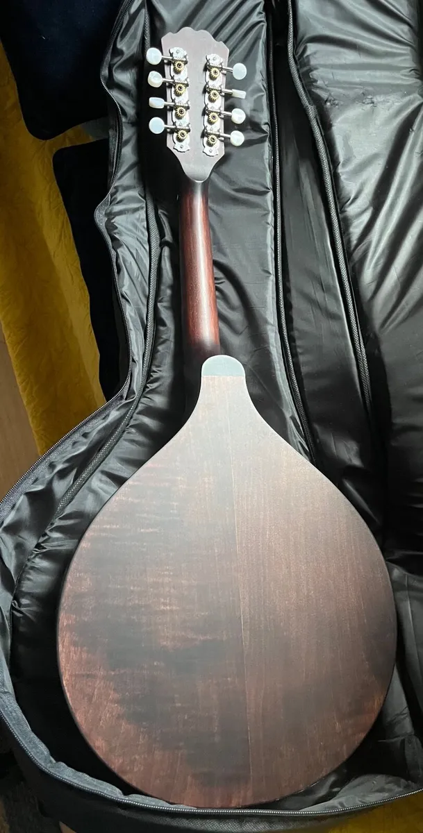 Mandola - Image 3