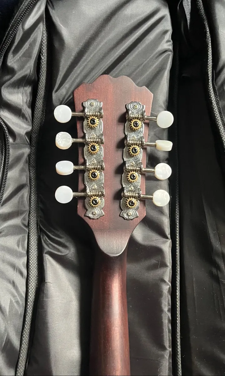 Mandola - Image 4