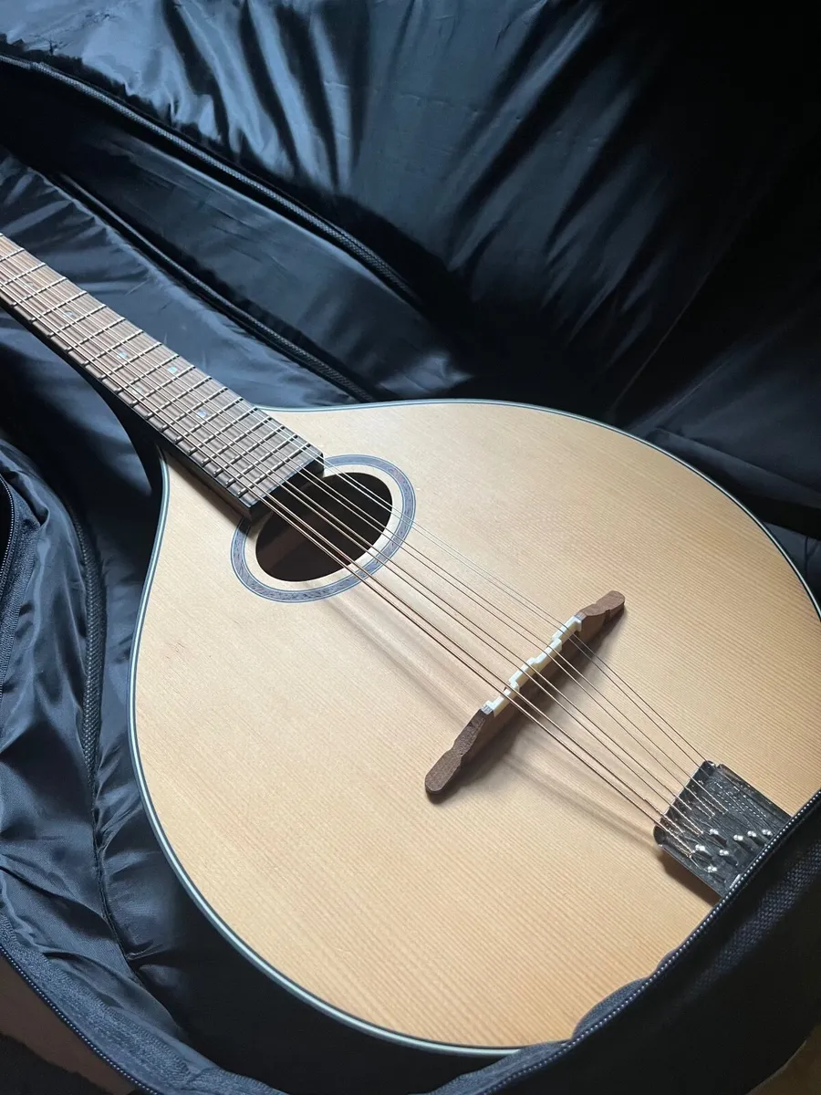 Mandola - Image 1