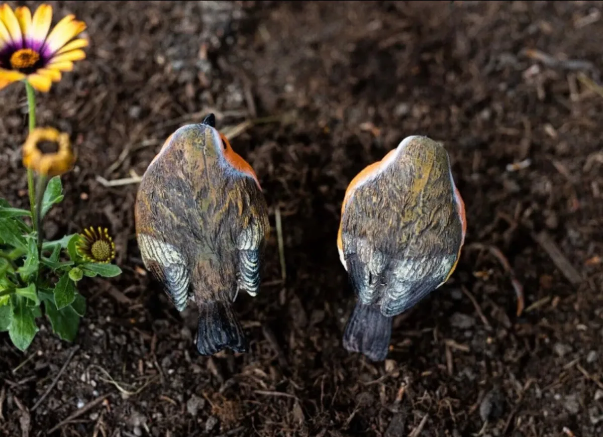 2 x Robins Bird Set Garden Ornaments - Image 4