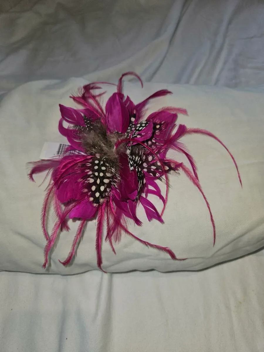 Hair Fascinators - collection of 6 - Image 2