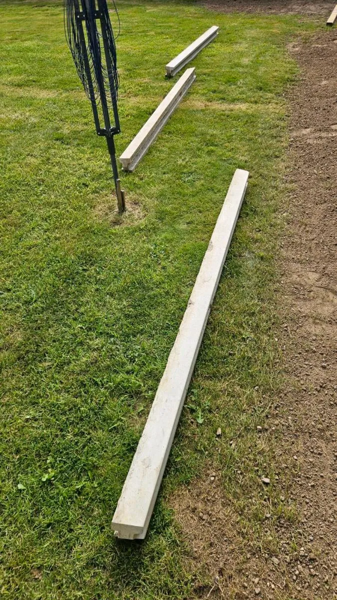 concrete fence posts x 3 - Image 4