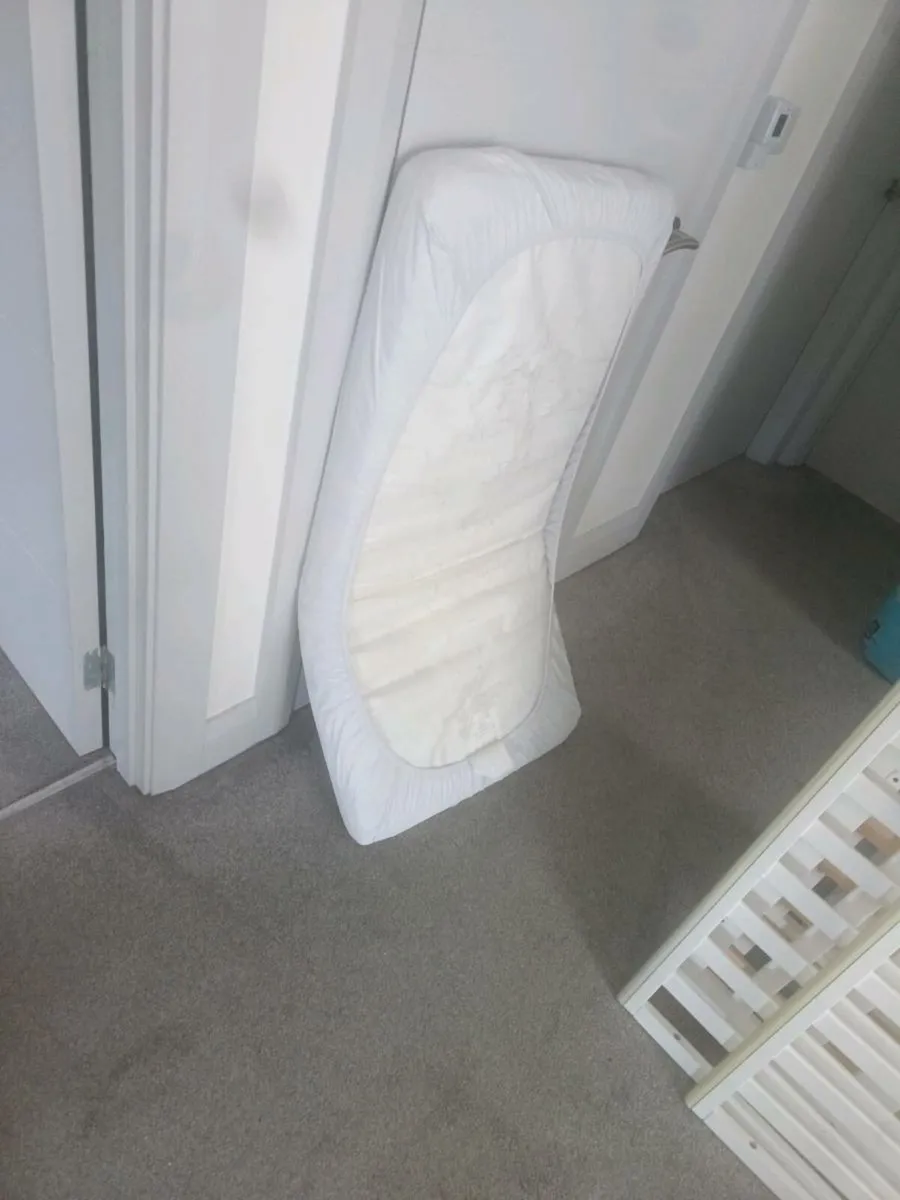 Cot - Image 3