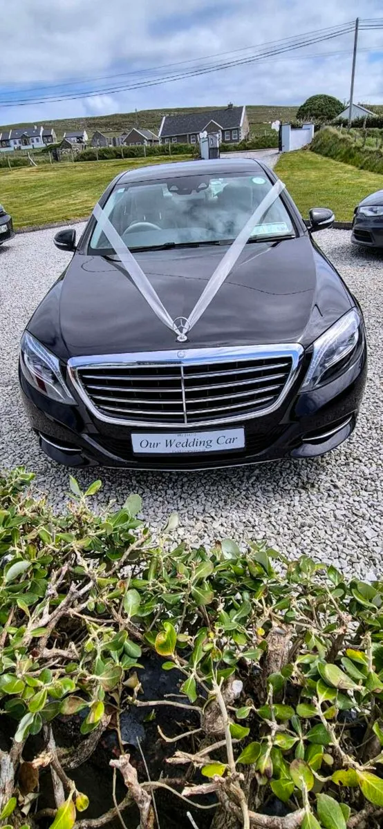 Wedding Car Hire - Image 2