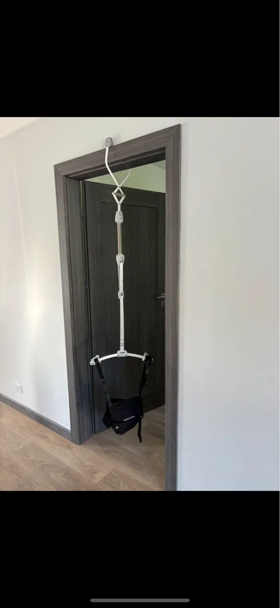 Baby door swing - Image 1