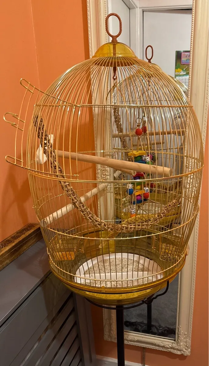 Brand New Gold Bird Cage - Image 1