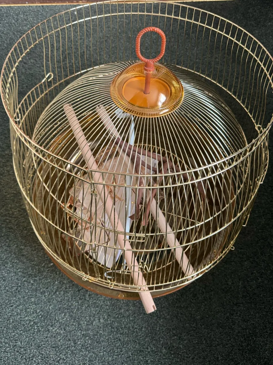 Brand New Gold Bird Cage - Image 3