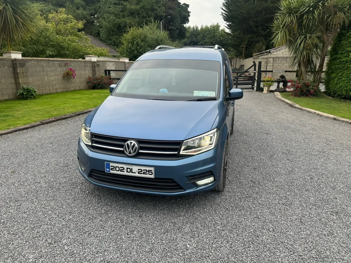 DSG Caddy - Image 2