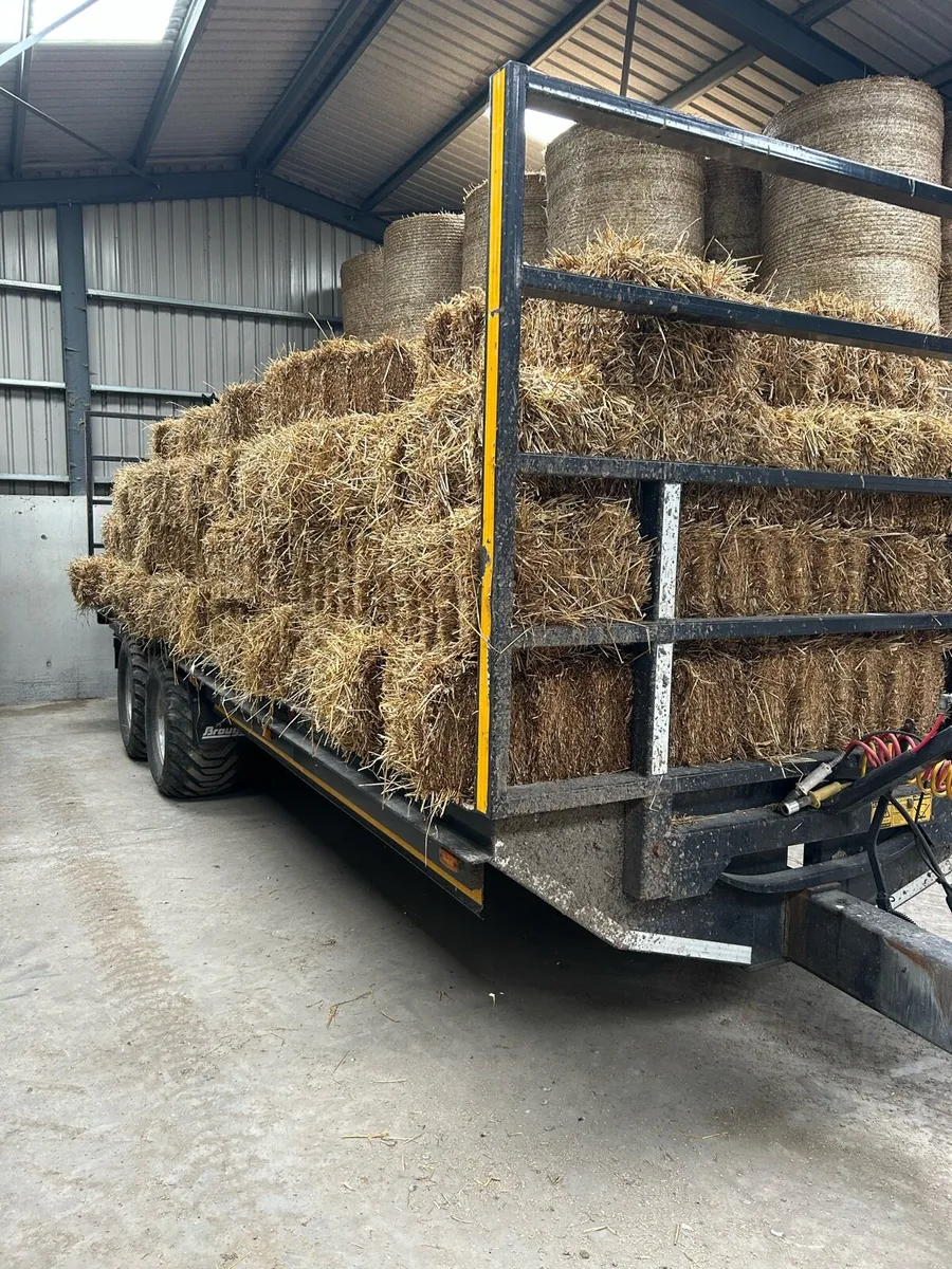 Straw