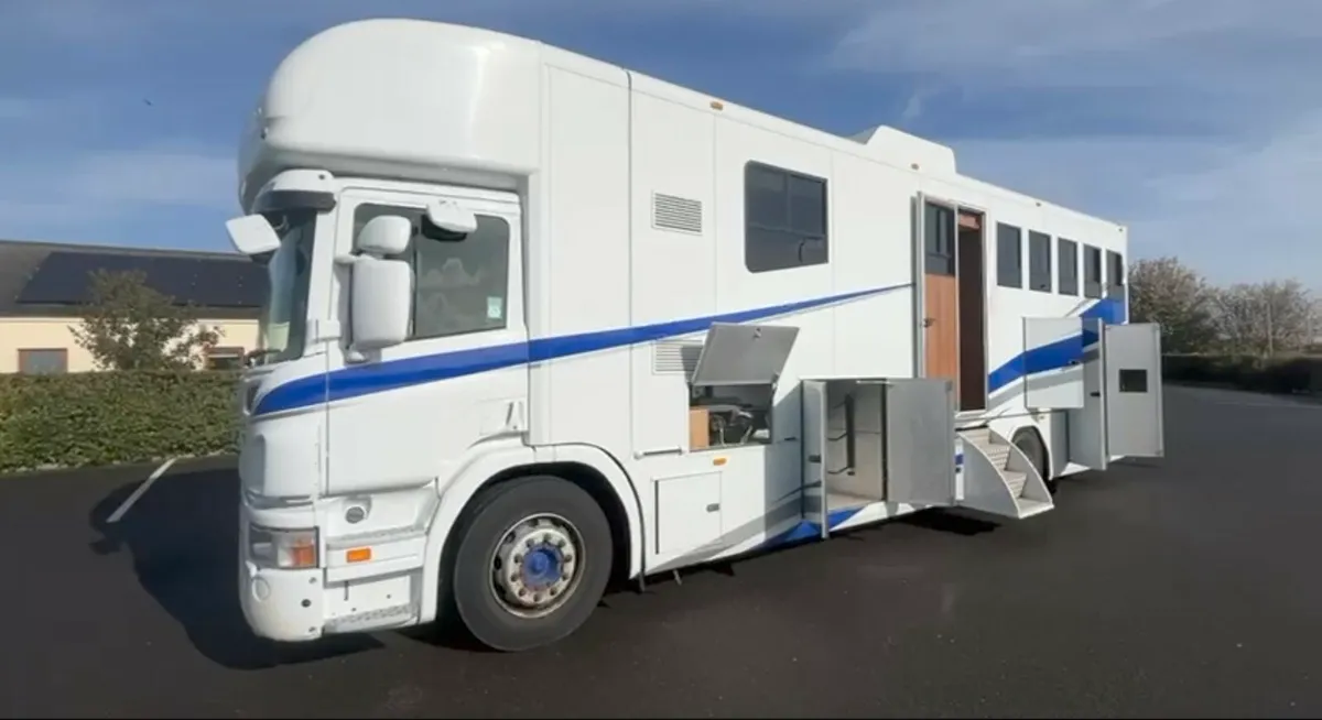 New & Used Stallion Stalls - Image 1