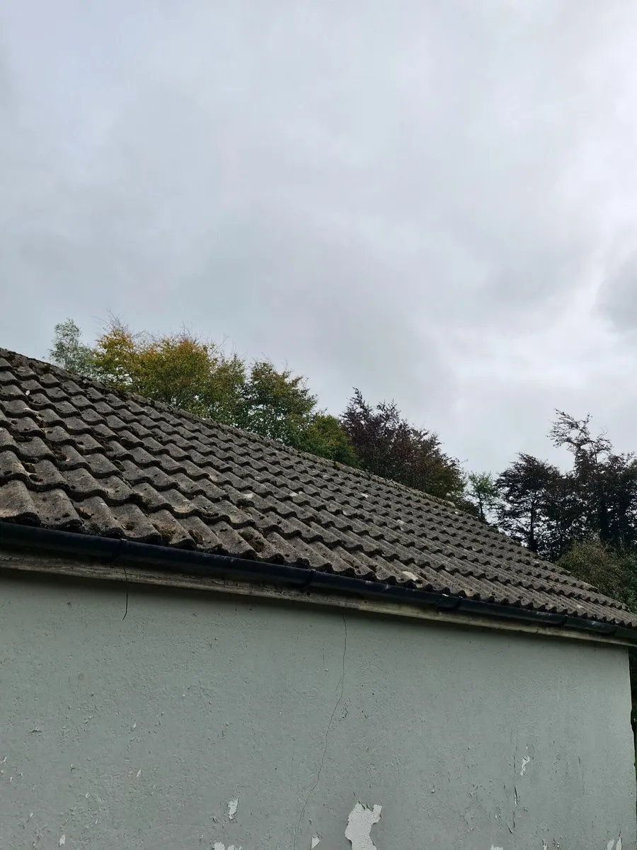 Roof tiles - Image 2