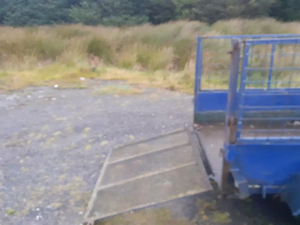 Sheep trailer - Image 4