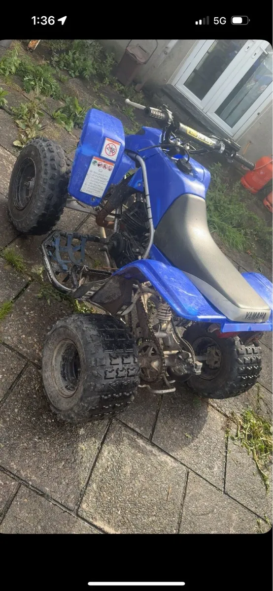 Yamaha blaster 200 - Image 4