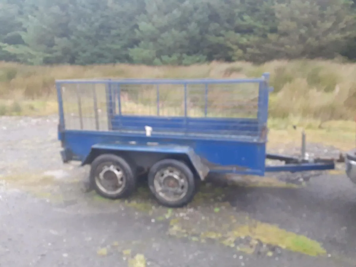 Sheep trailer - Image 2