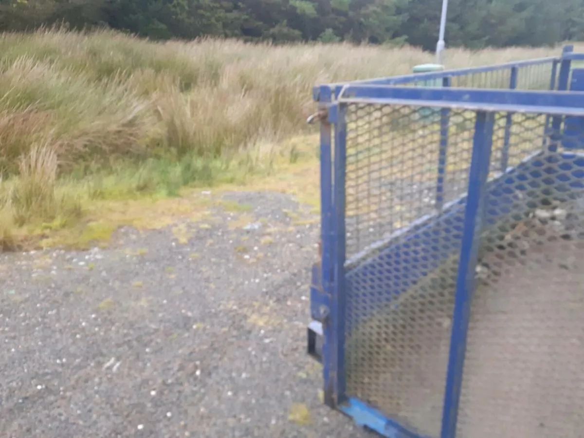 Sheep trailer - Image 3
