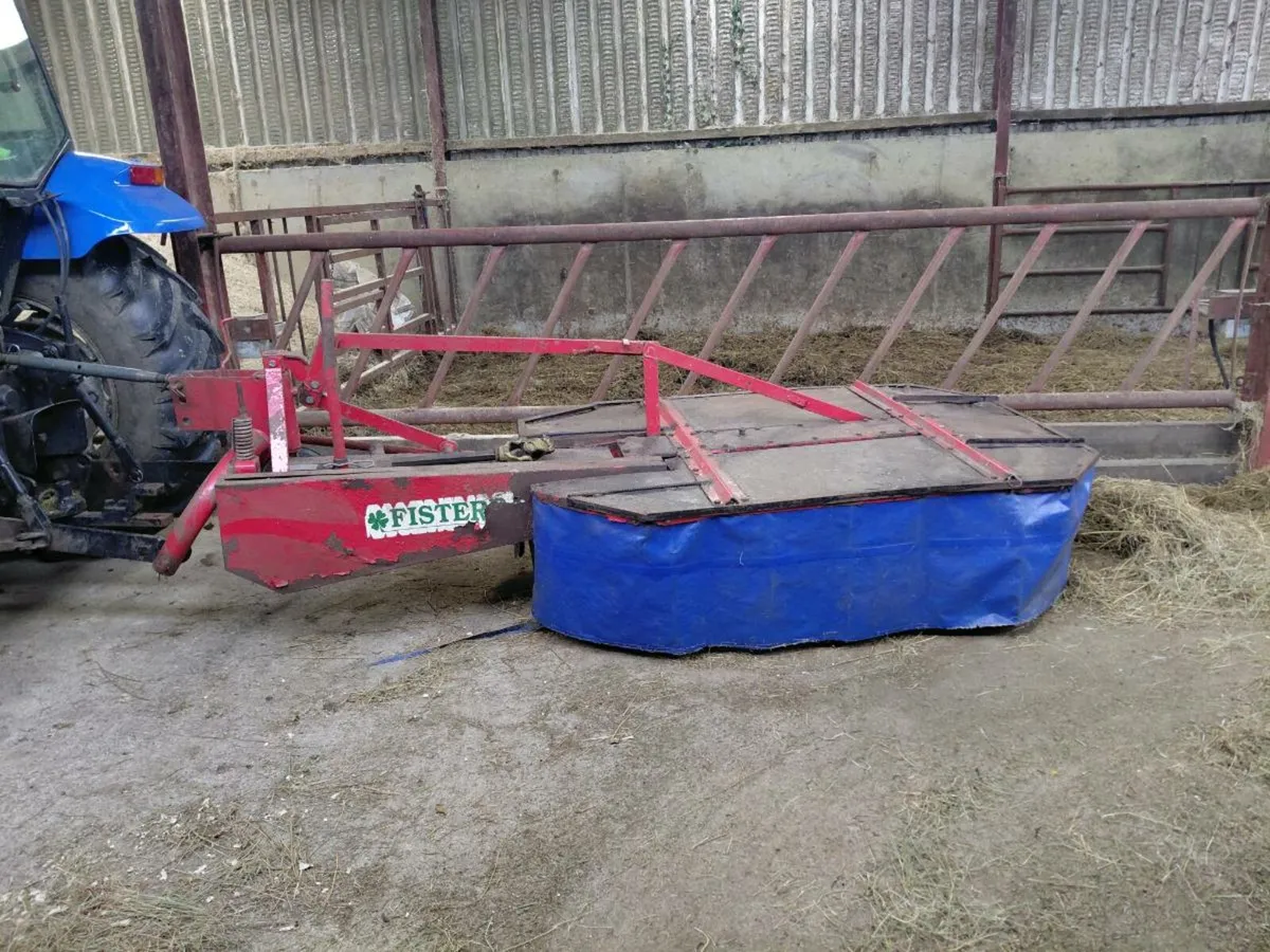 Rotary mower - Image 1