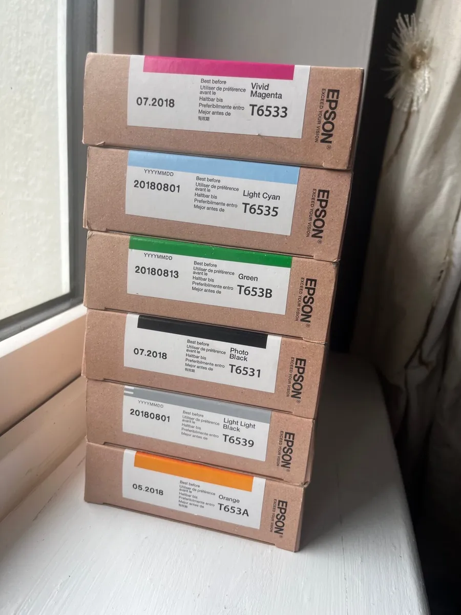 Epson 4900 Printer_And Inks - Image 3
