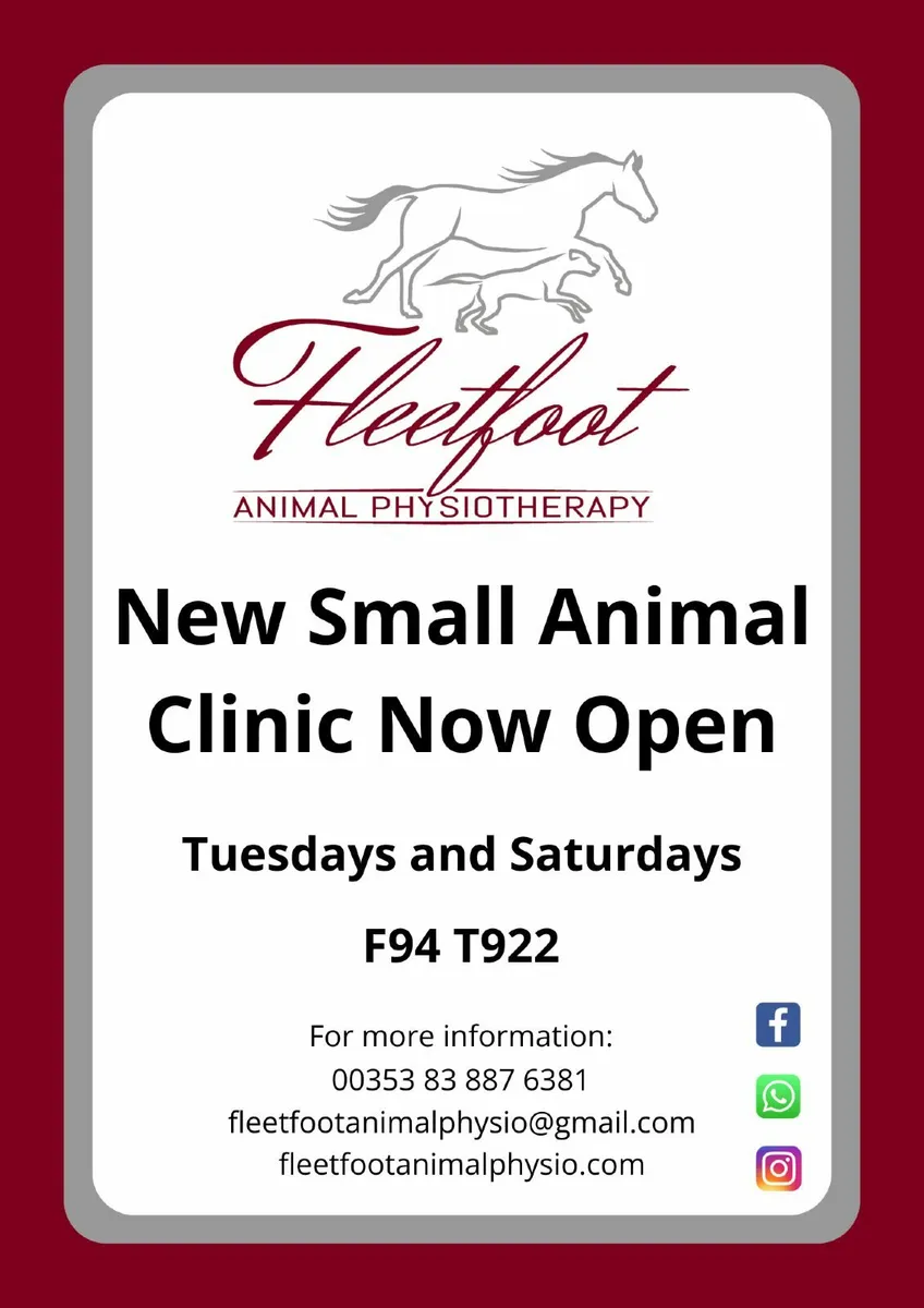 Animal Physiotherapy Clinic - Image 2