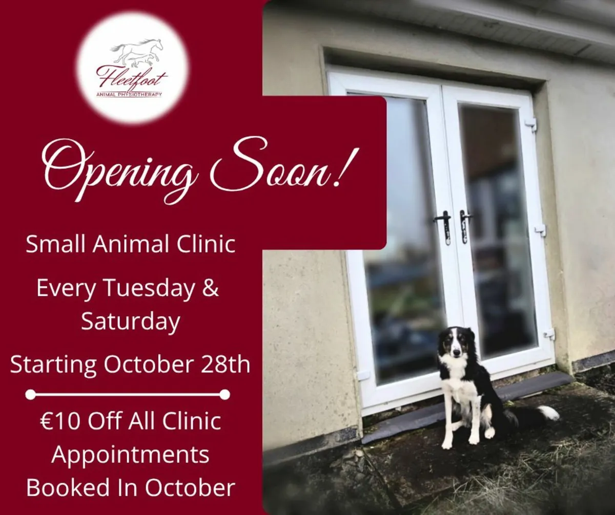 Animal Physiotherapy Clinic - Image 1