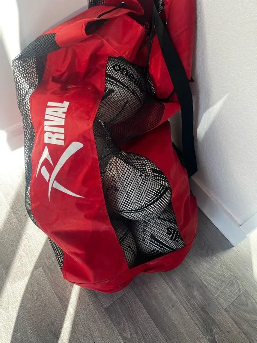 Size 4 GAA footballs (8) and bag - Image 2