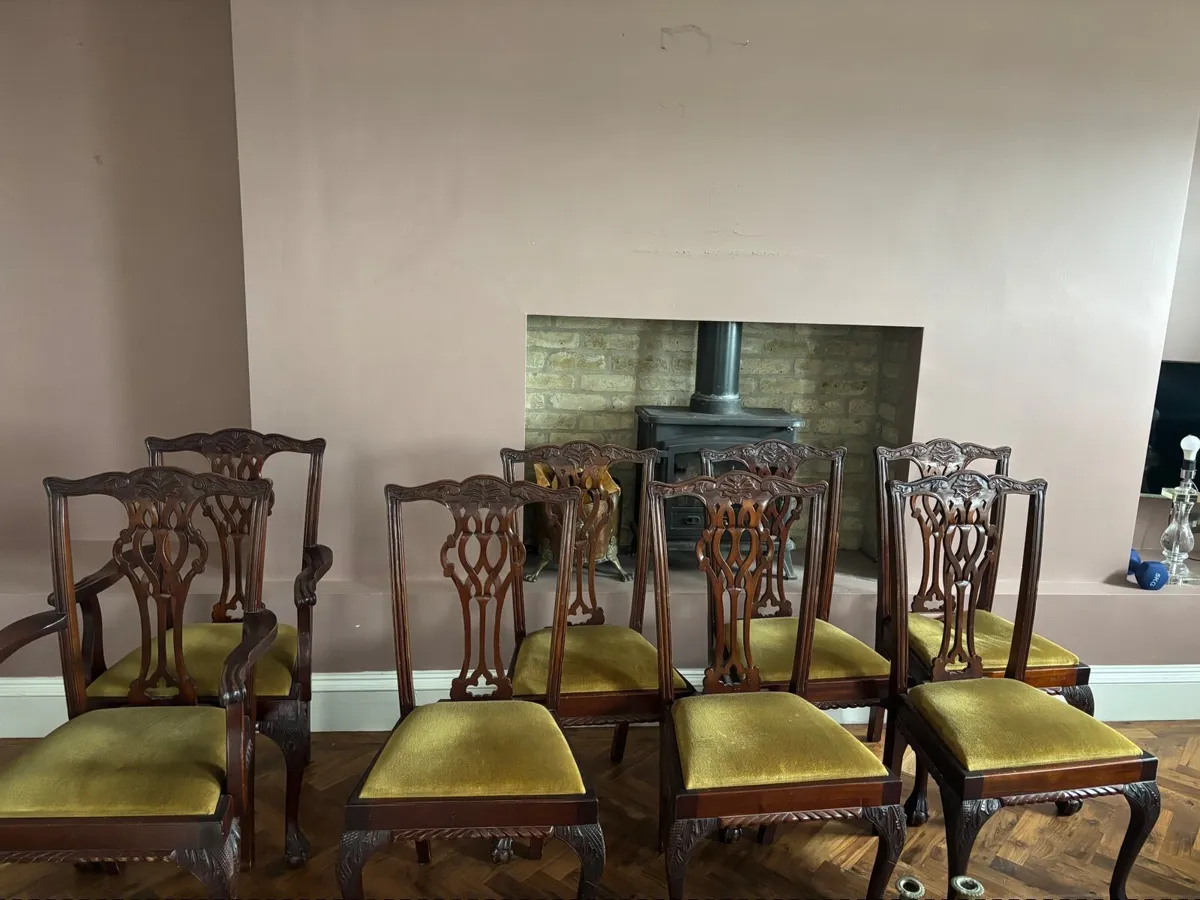 Dining Room Chairs