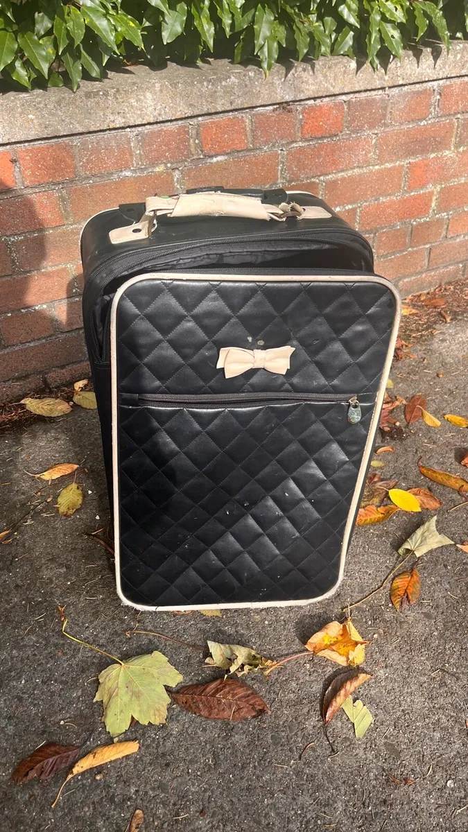 Small-sized vintage luggage - Image 1