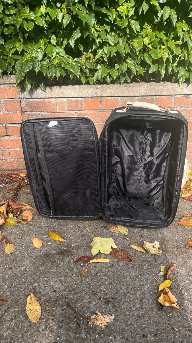 Small-sized vintage luggage - Image 2