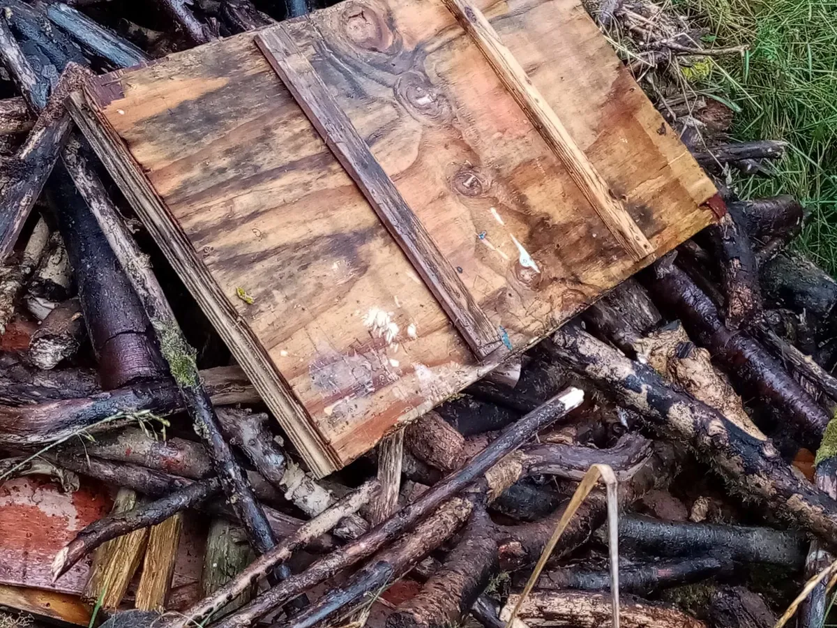 Wood - Image 2