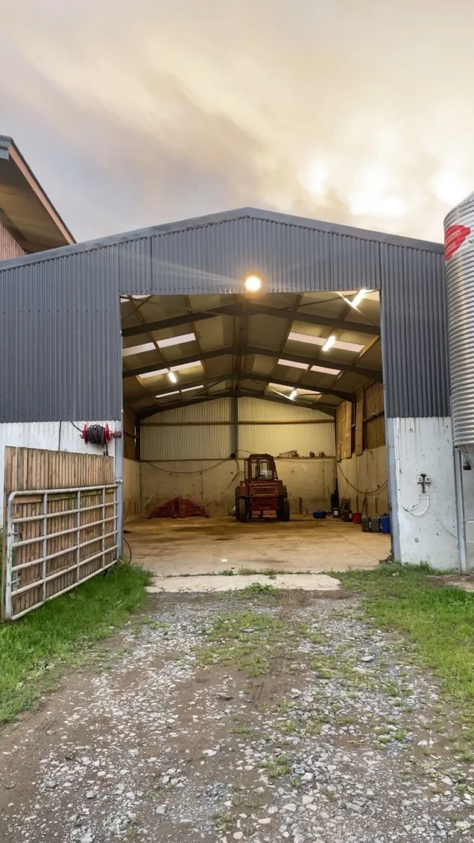 Shed for rent - Image 2