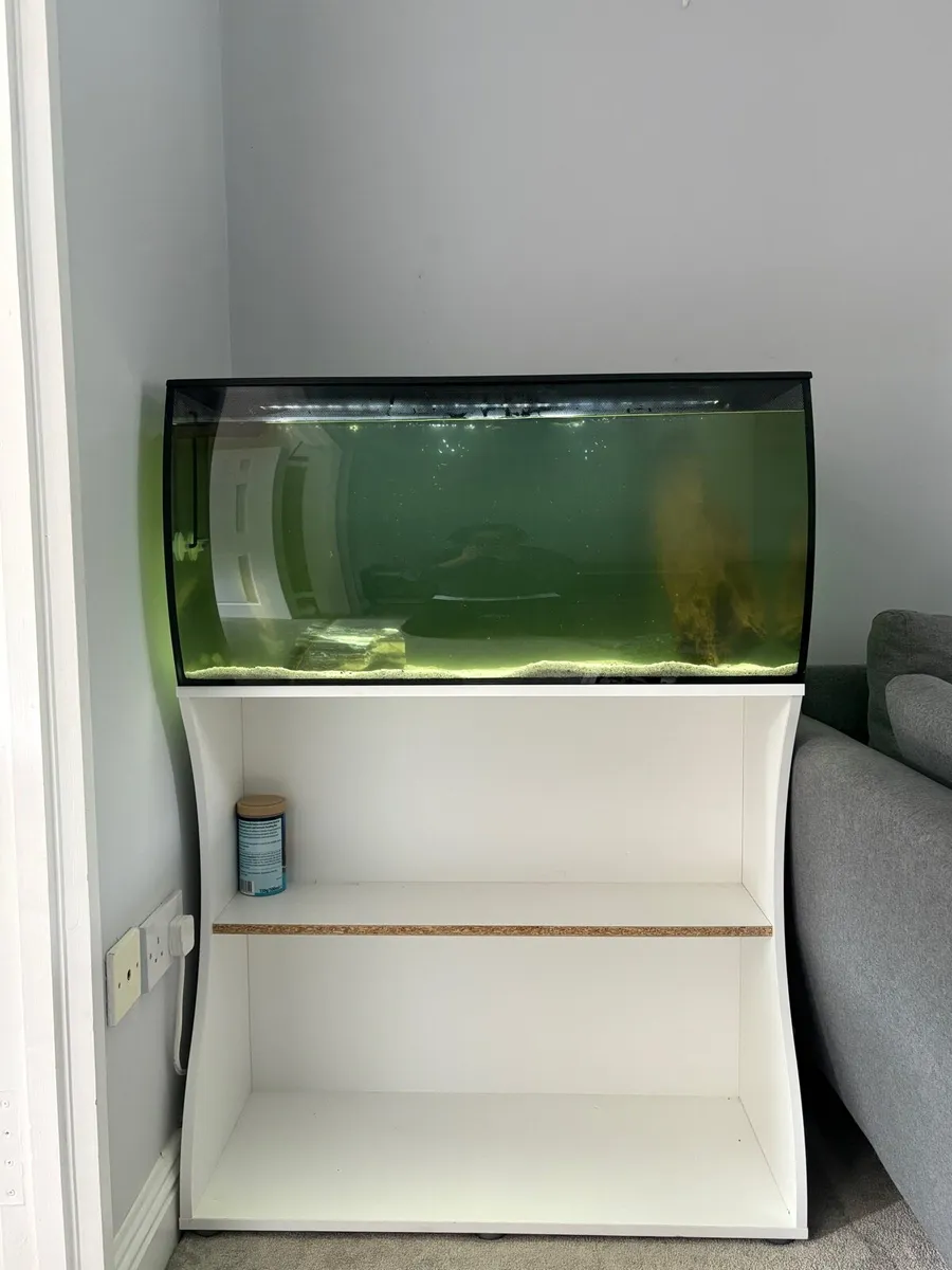 Fish tank with turtle - Image 1