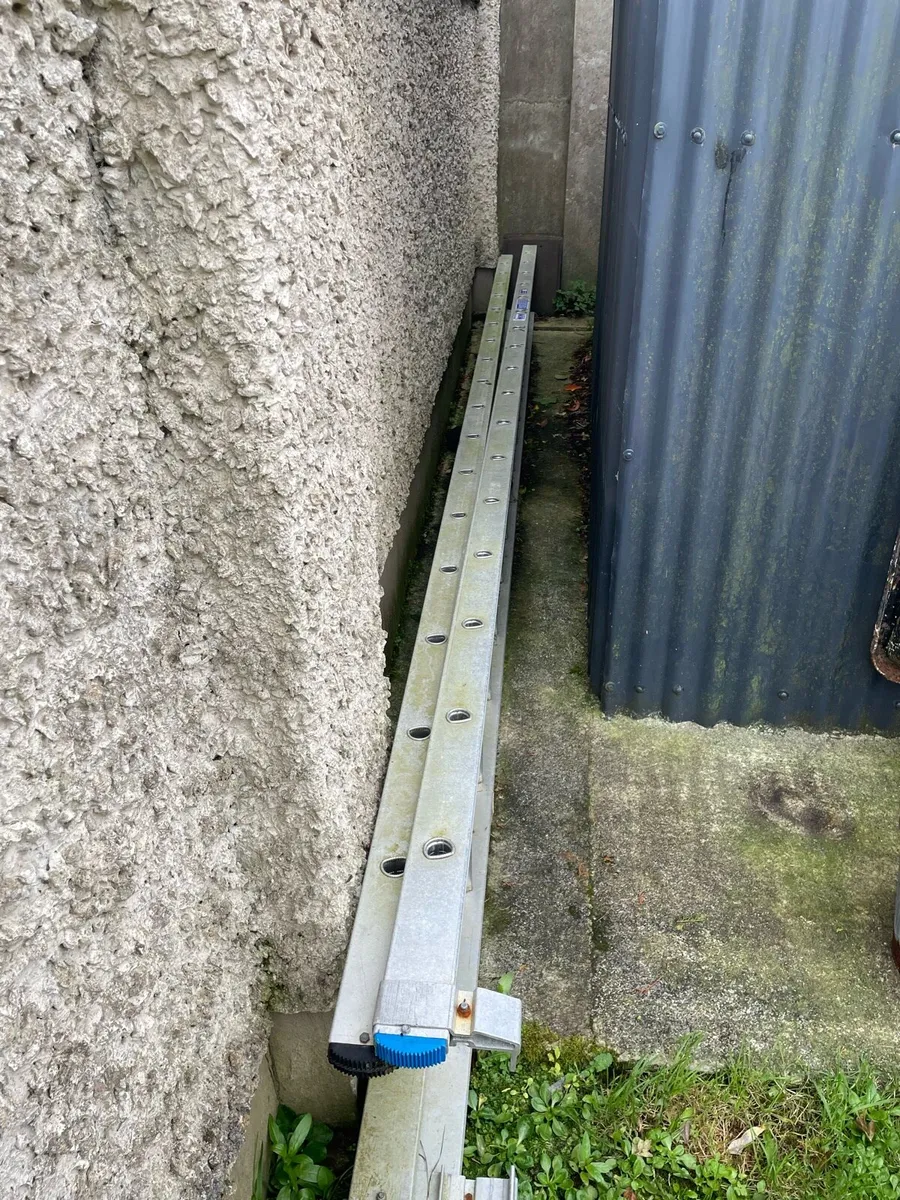 Ladder - Image 1