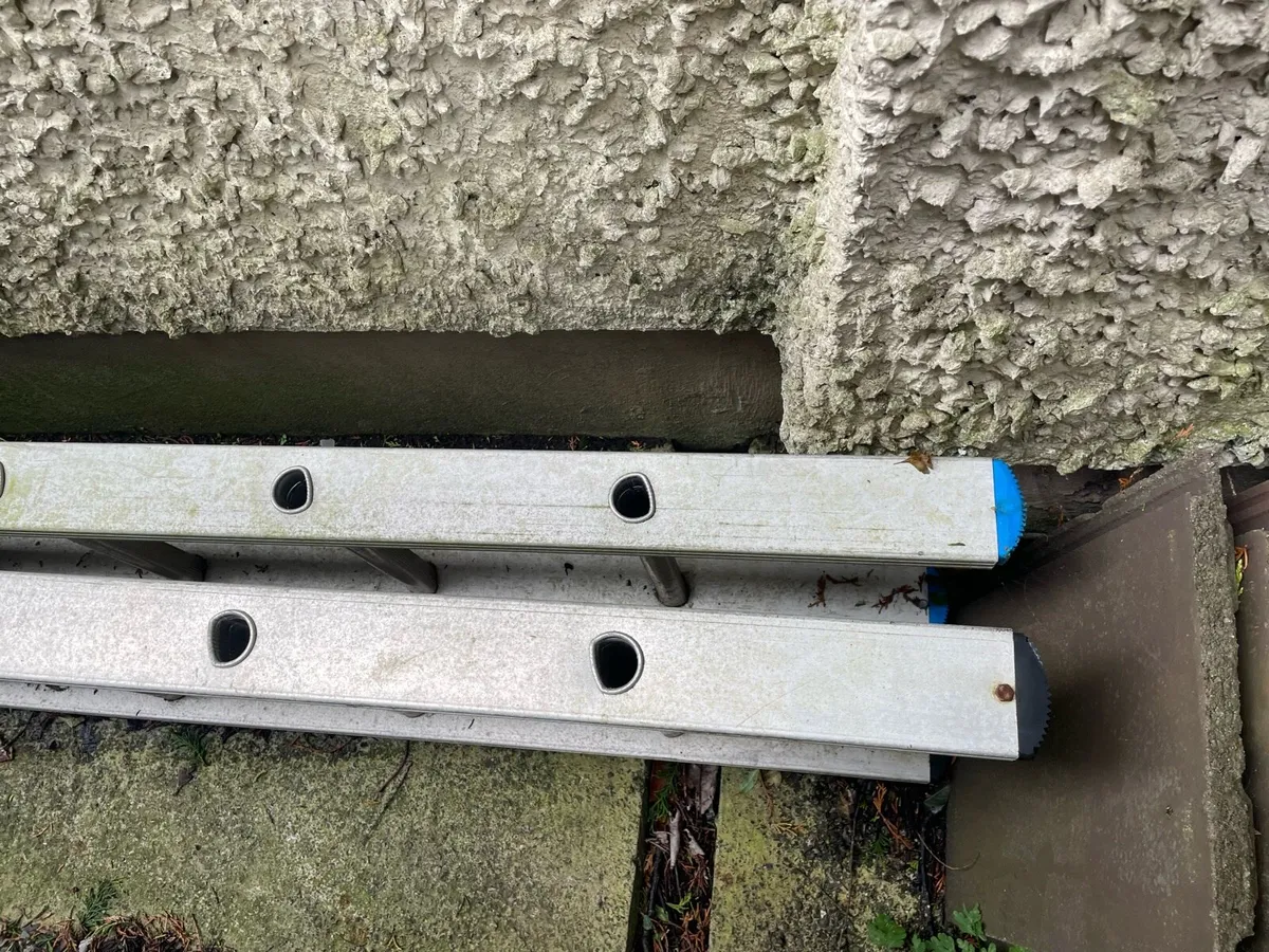 Ladder - Image 2