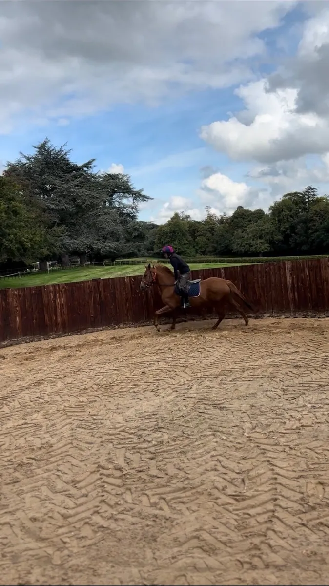 Pre-training and Breaking yard - Image 1